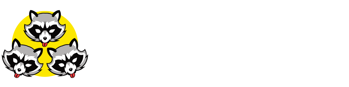 3 Raccoons LLC